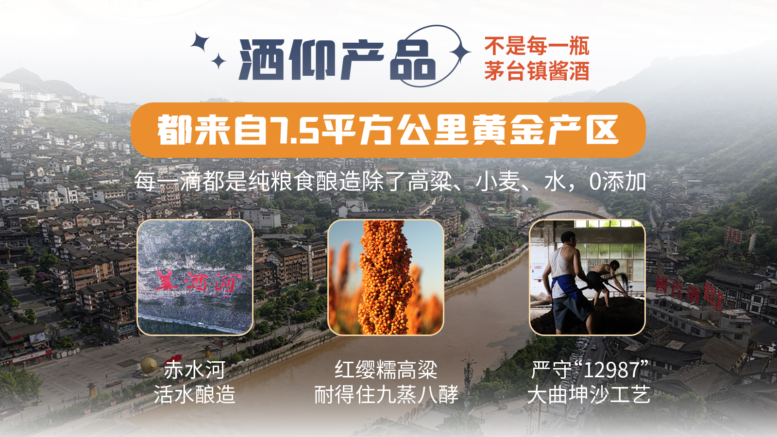 高级合伙人