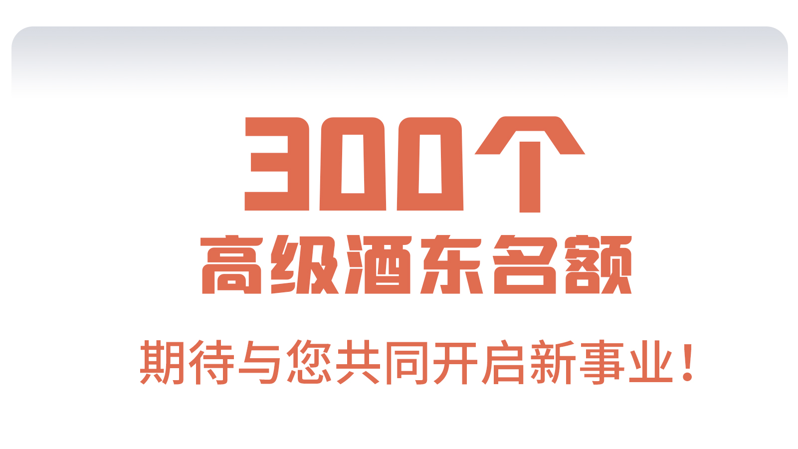 高级合伙人